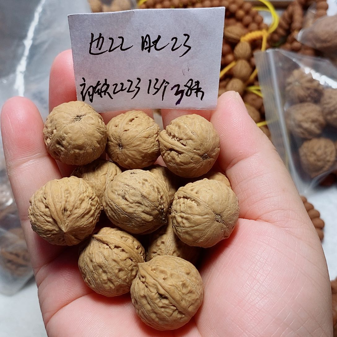 核桃手串/手链光头强龙珠单圈