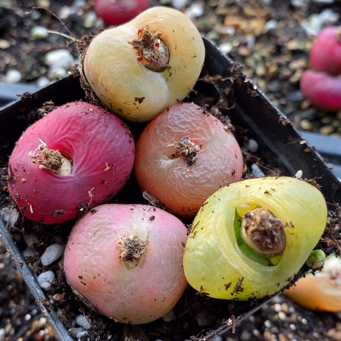 14119一组一组一组