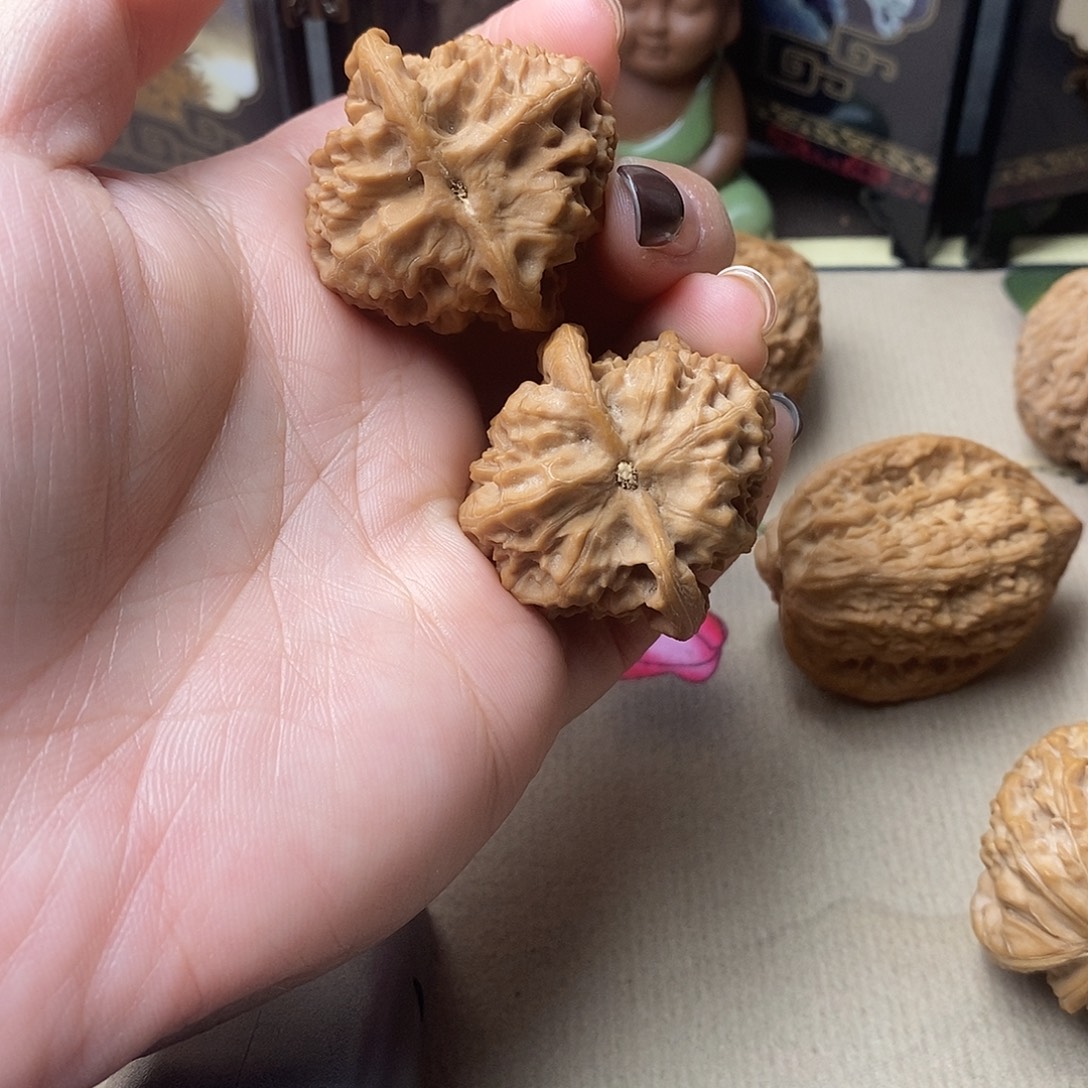 S***l核桃野狼全品的野狼