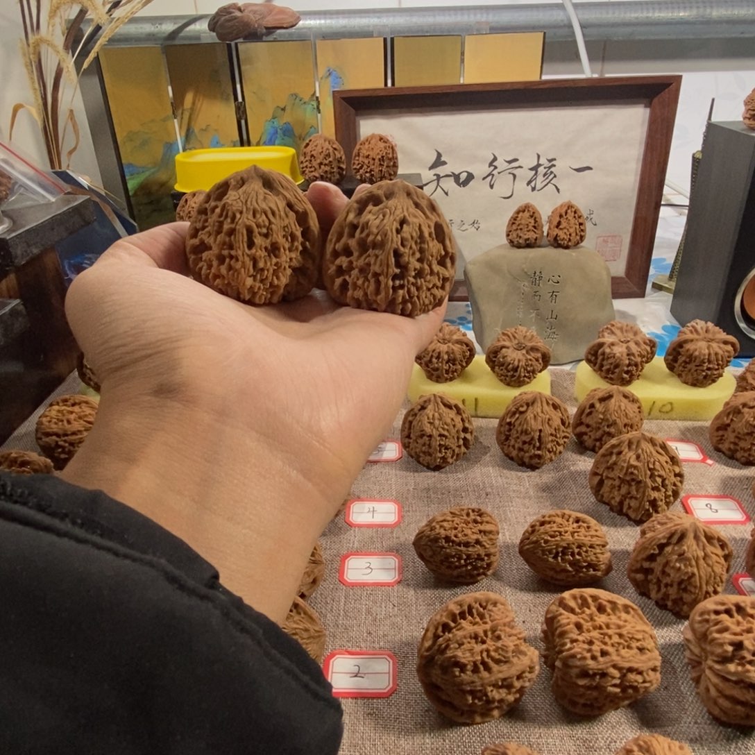 海***纳木质类奥迪南疆46尺55克