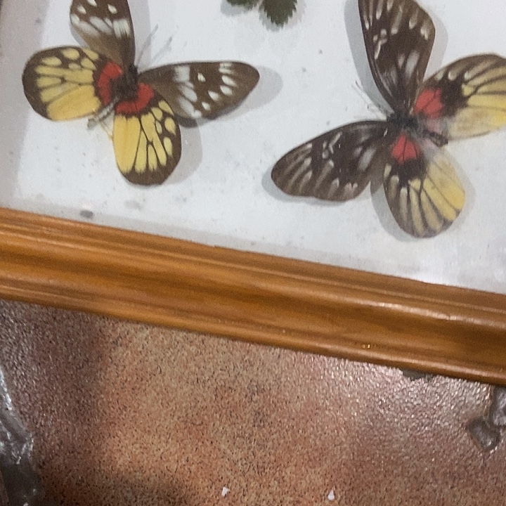 波***涛瓷片Zcgghggffgffgfdgjgfgfgggfgh