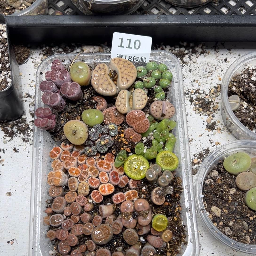 【闪购商品】110。     