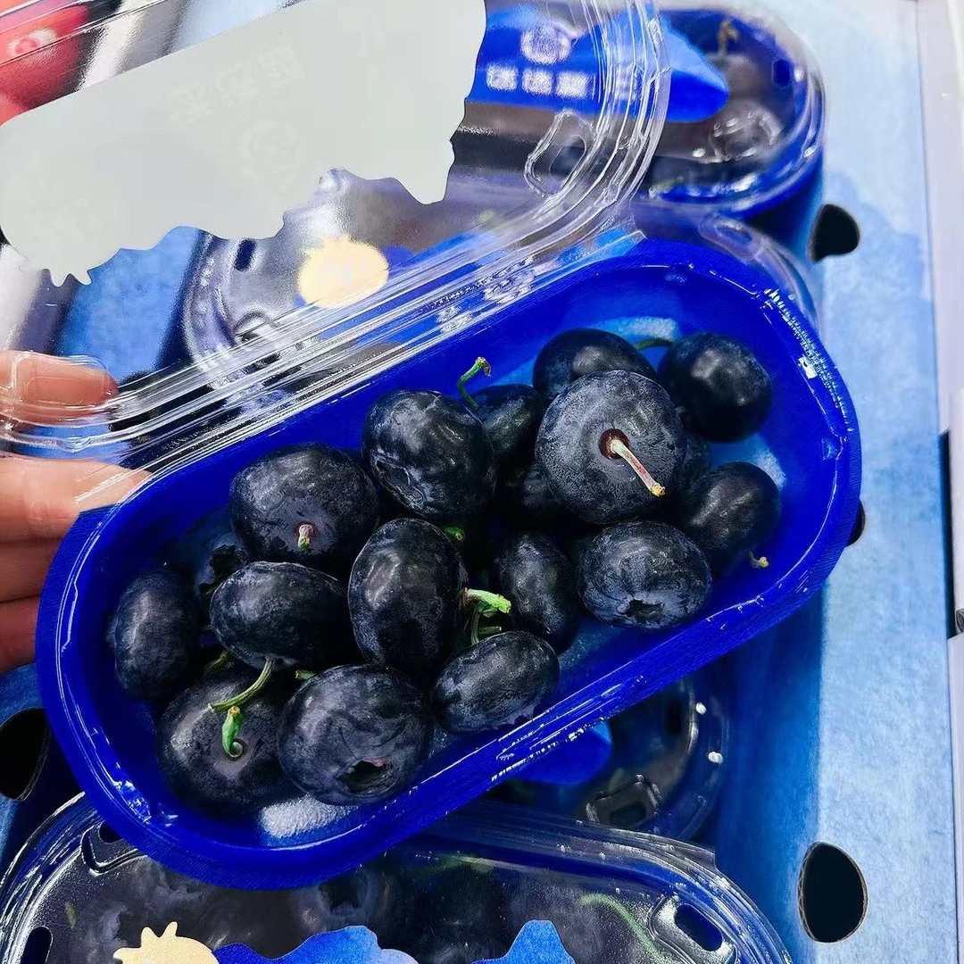 迷迭兰蓝莓 发一盒 200克云南省