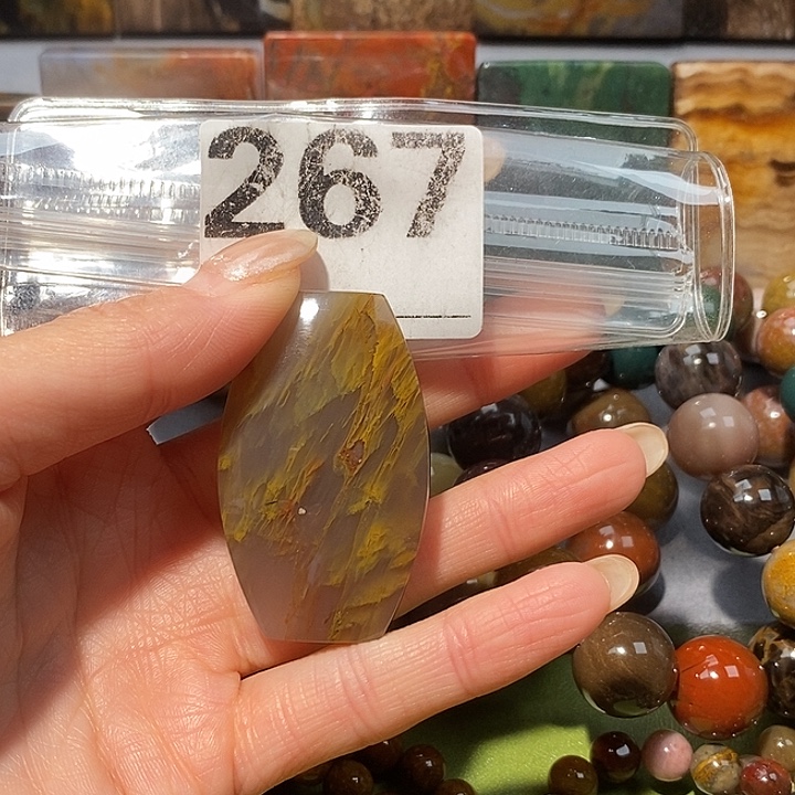 硅化玉未镶嵌天然北票树化玉吊坠