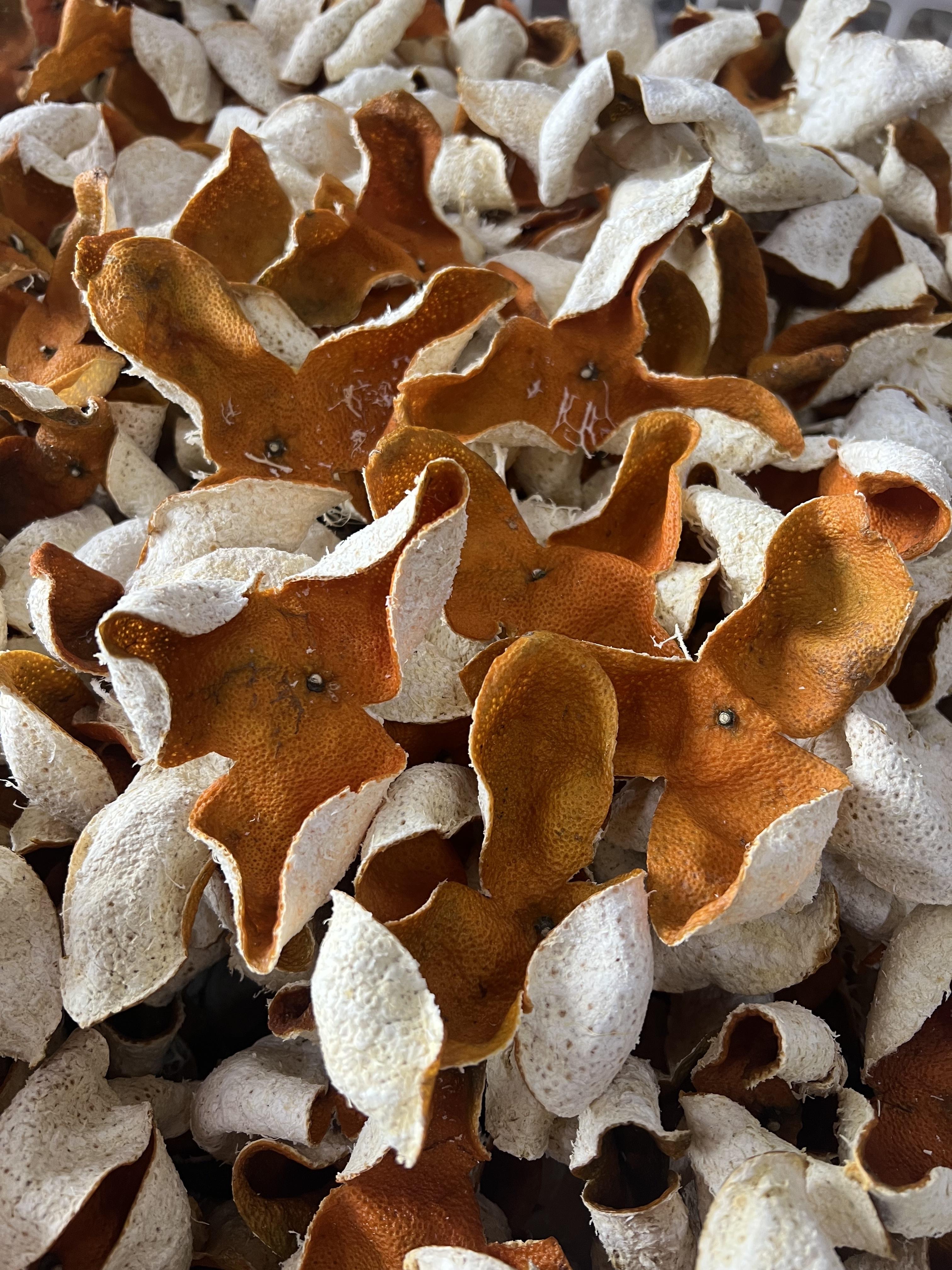 【塞口圈枝】2025年新会陈皮梅江塞口圈枝大红皮