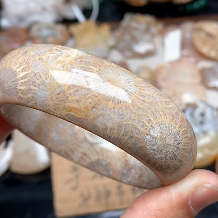 硅化珊瑚（珊瑚玉）手镯未镶嵌53.7 