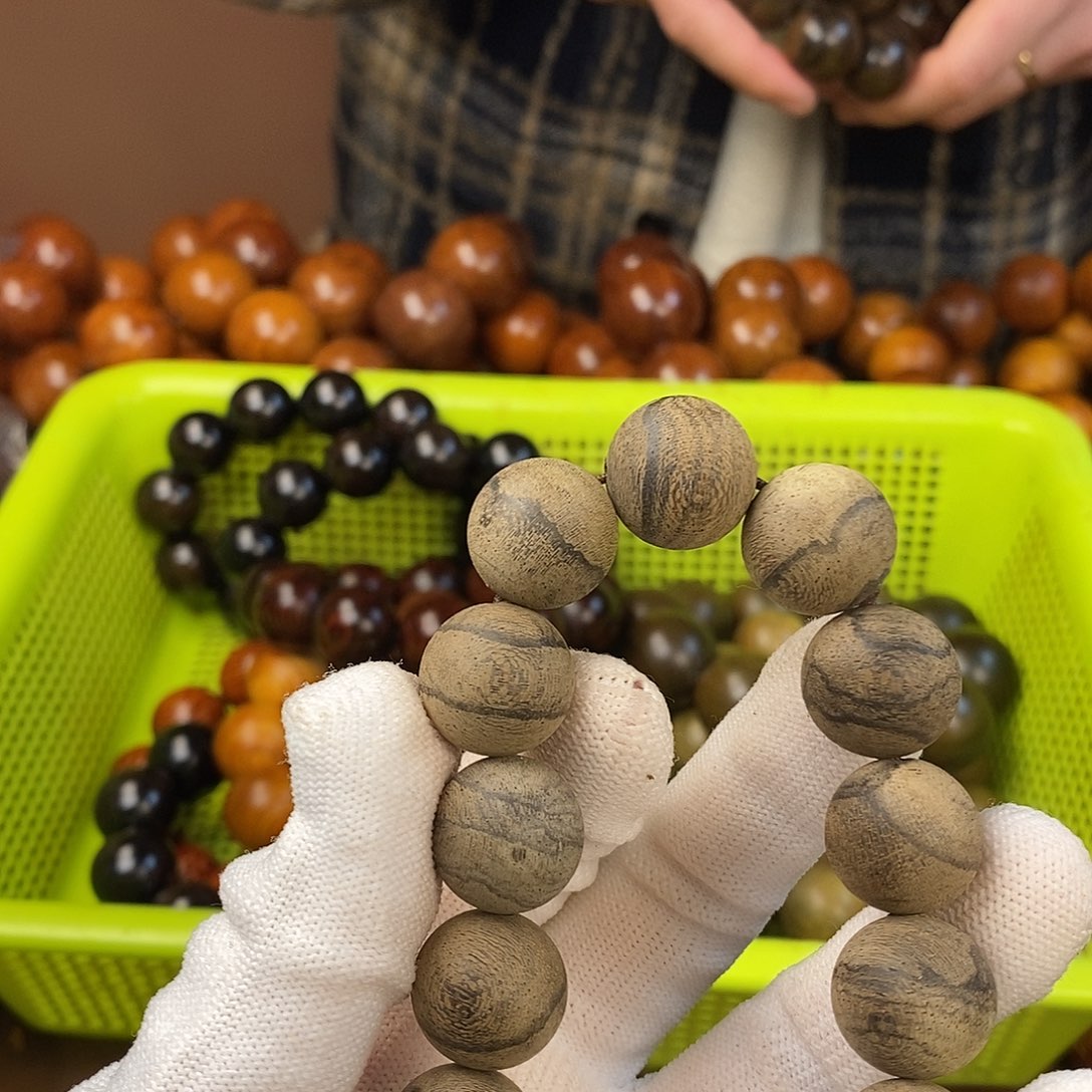 香榧木土埋料1.5单圈