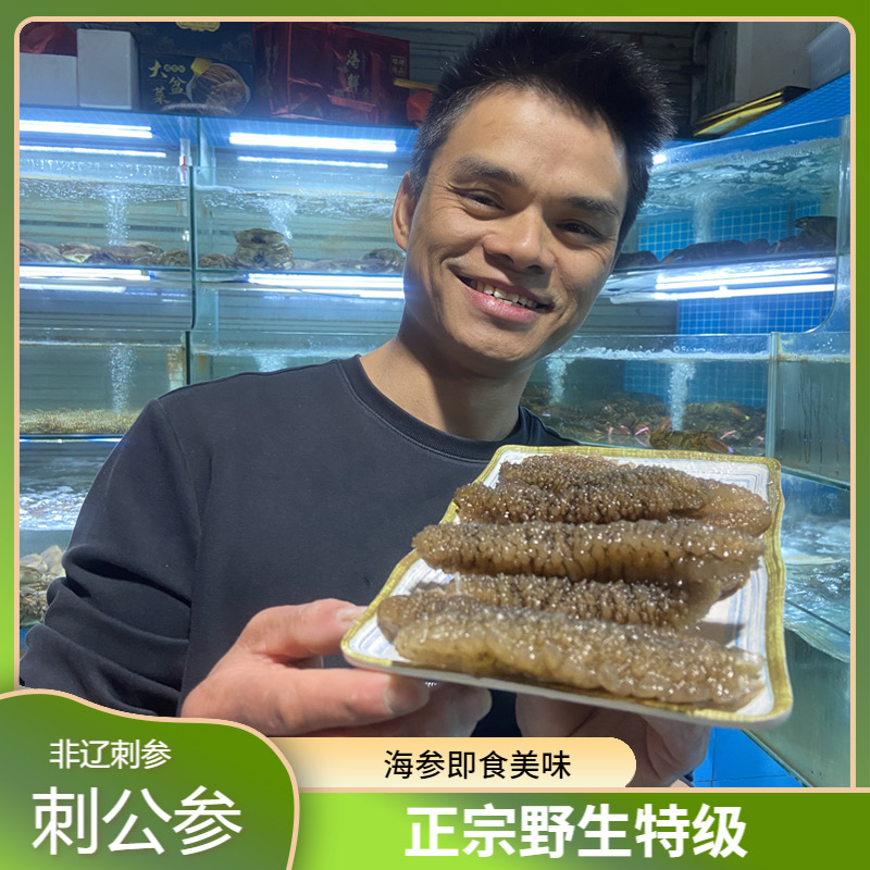 海参即食正宗海参野生海参特级海参刺公参