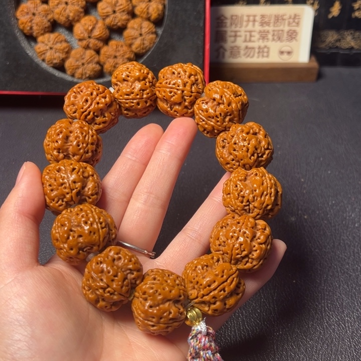 金刚菩提手串五抓金龙