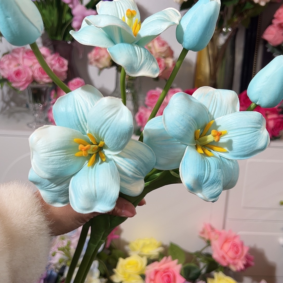 3枝2头布朗尼花。        