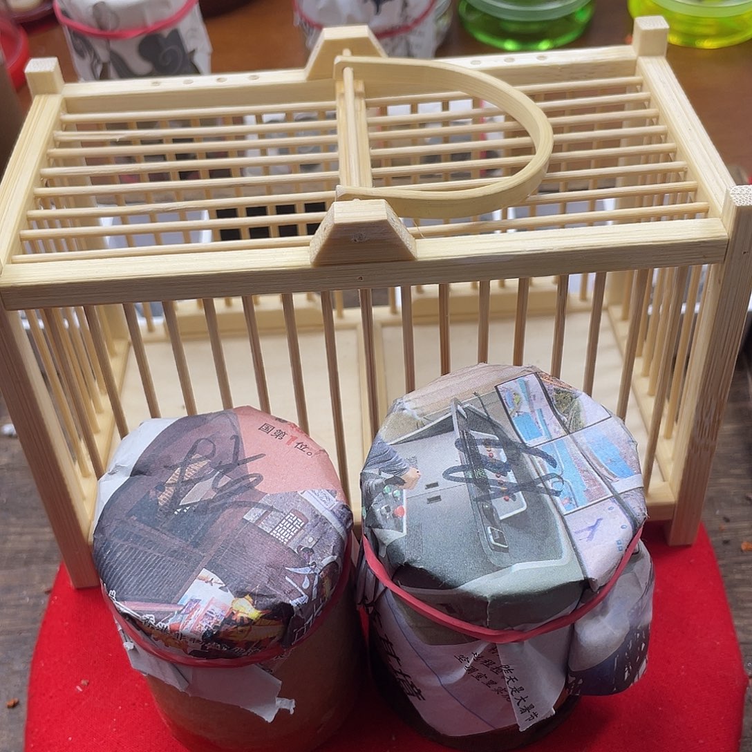 赵***朝蟋蟀新的一年希望自己能有