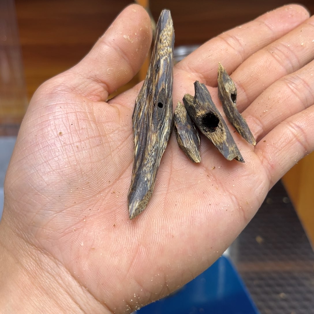沉香沉香碎屑忆**?九汾
