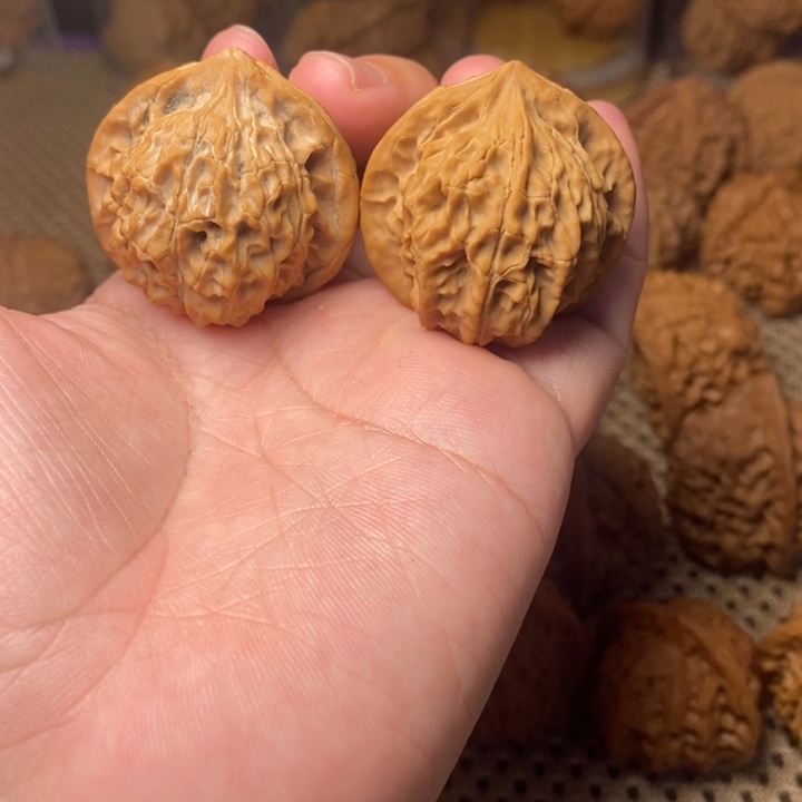 核桃手串/手链灯笼36有修