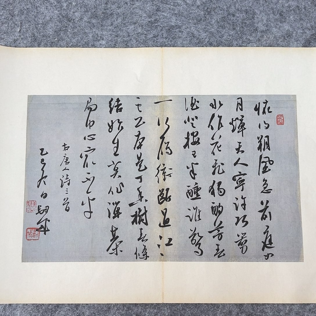 书法国展书家徐卫科45×34