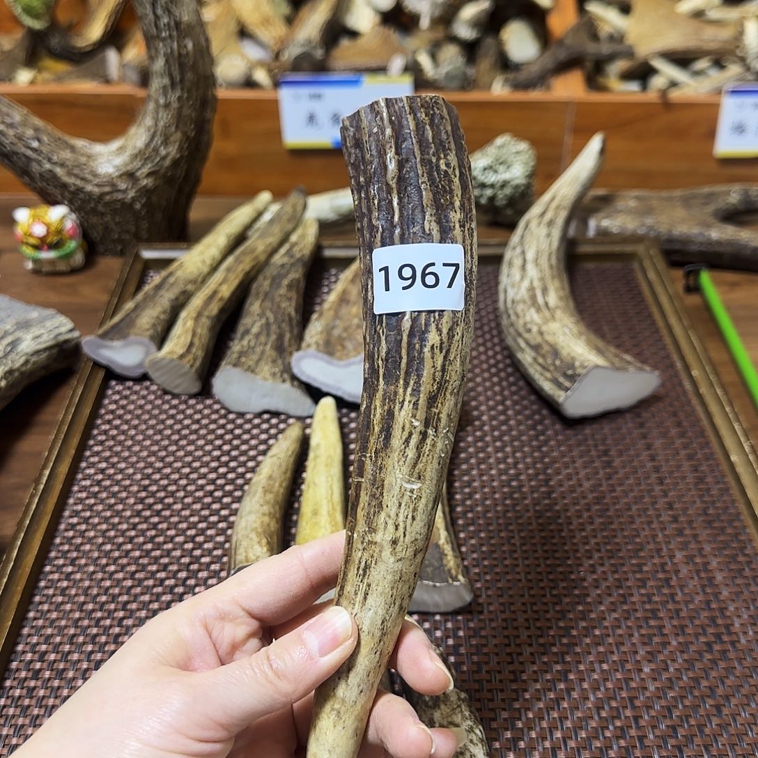 鹿骨手串/手链1967角尖