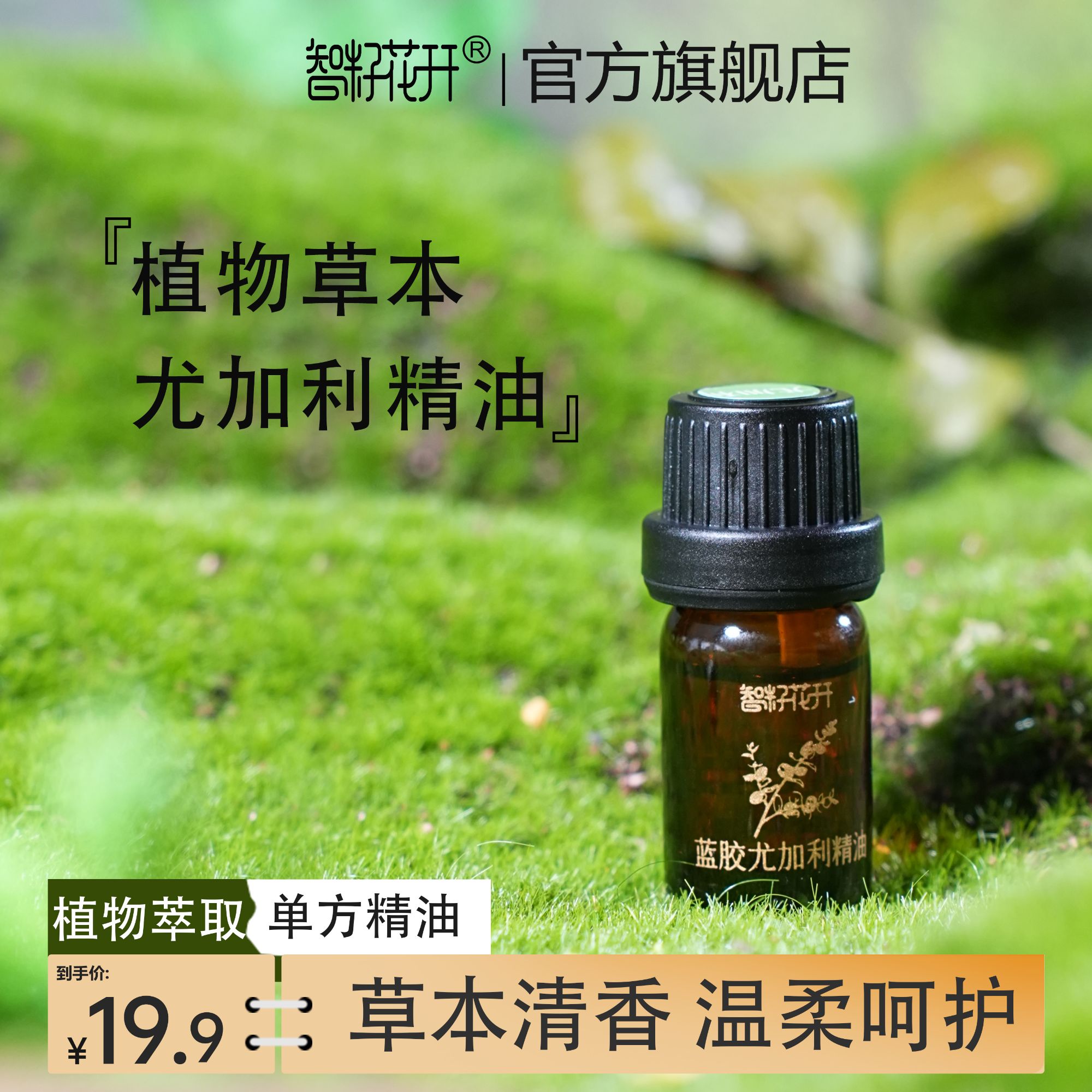 【蓝胶尤加利精油2瓶装】空气净化保卫精油尤加利