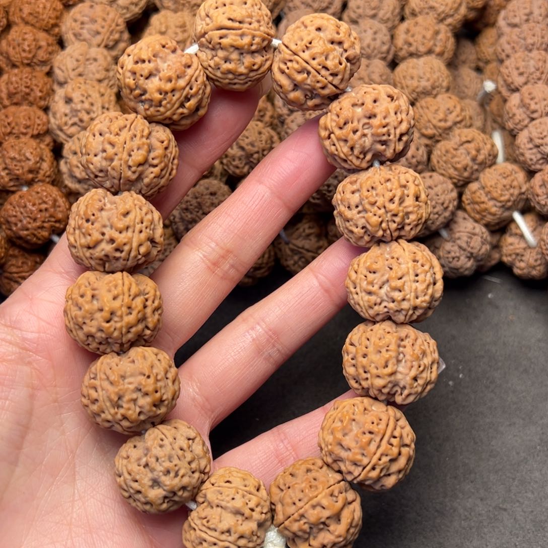 菩提4号金刚菩提梅花梁23