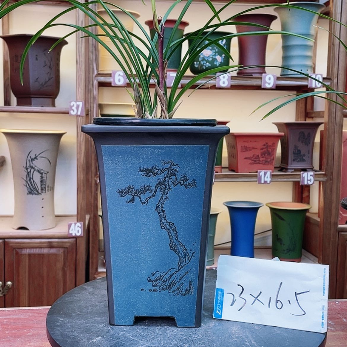 【闪购商品】紫砂花盆兰花455555555888889