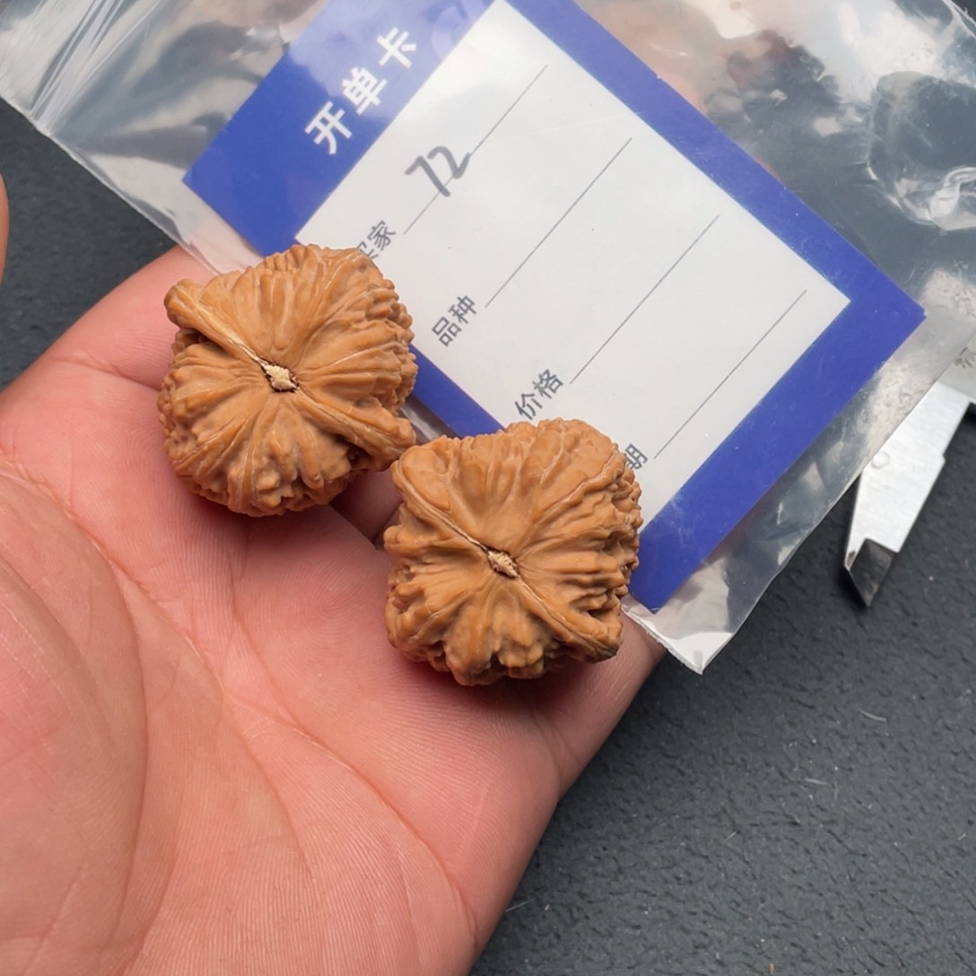 核桃把件37白狮子，72号