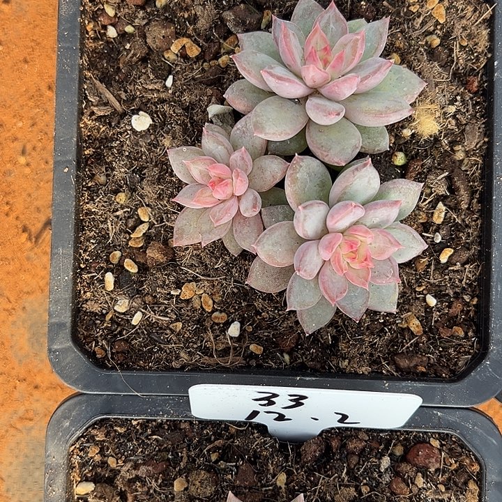 【***志11111111111111111111