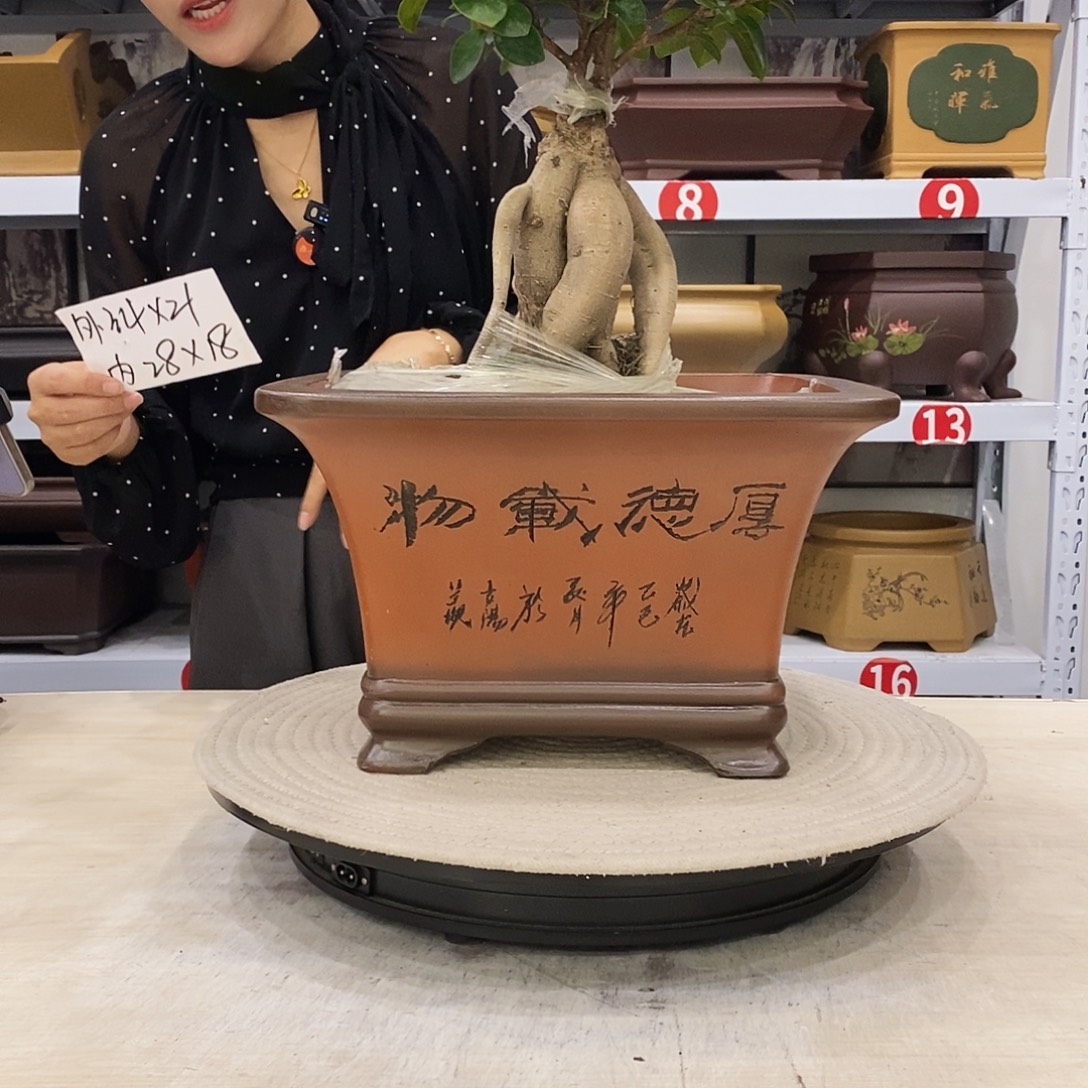 紫砂花盆紫砂花盆
