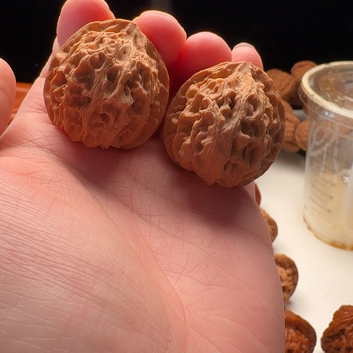 苹果园37尺寸全品