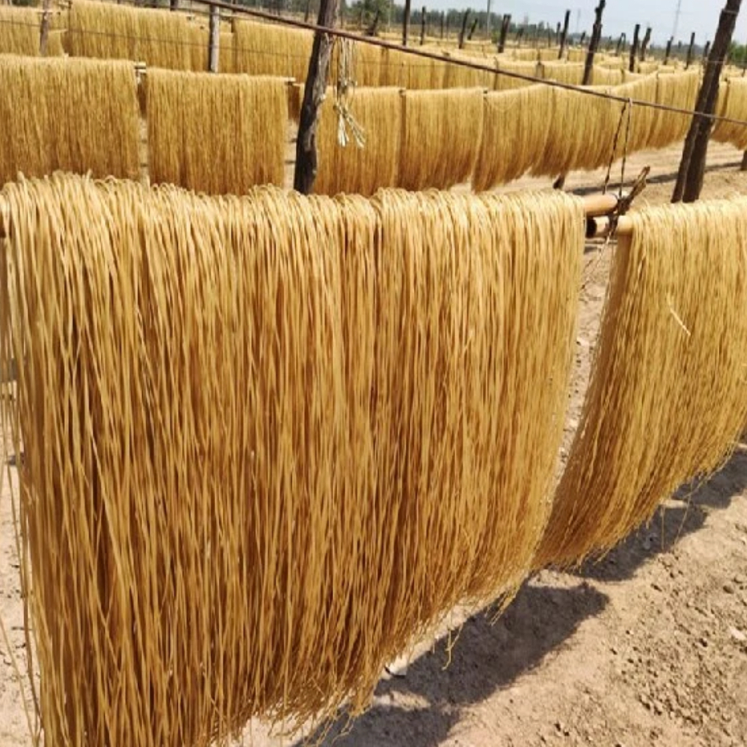 农家纯手工红薯粉条