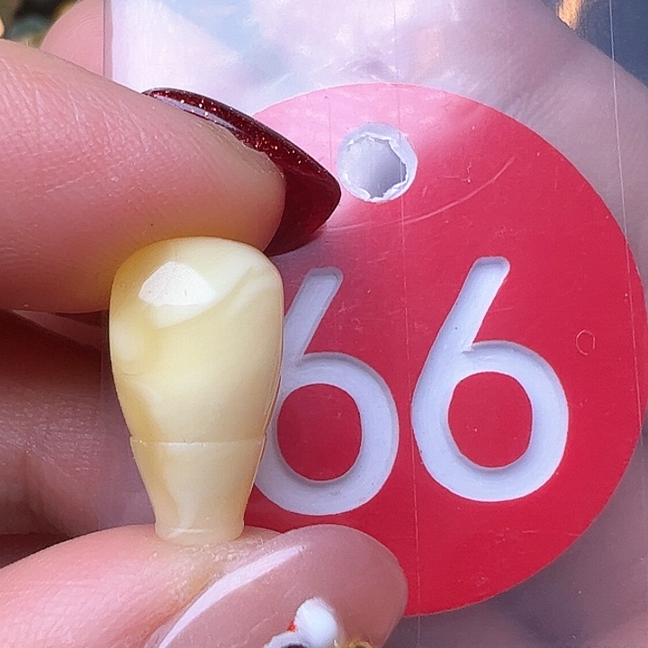 蜜蜡裸石未镶嵌9m m