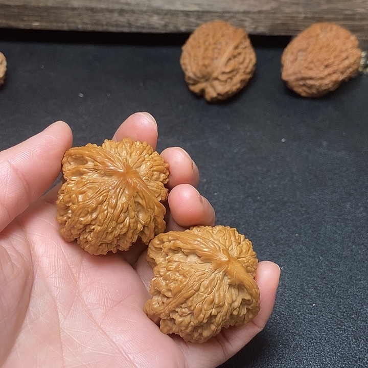 ℡***川木质类狮子头。满天星