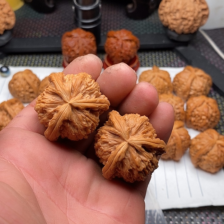 C***l核桃手串/手链福利白狮子8