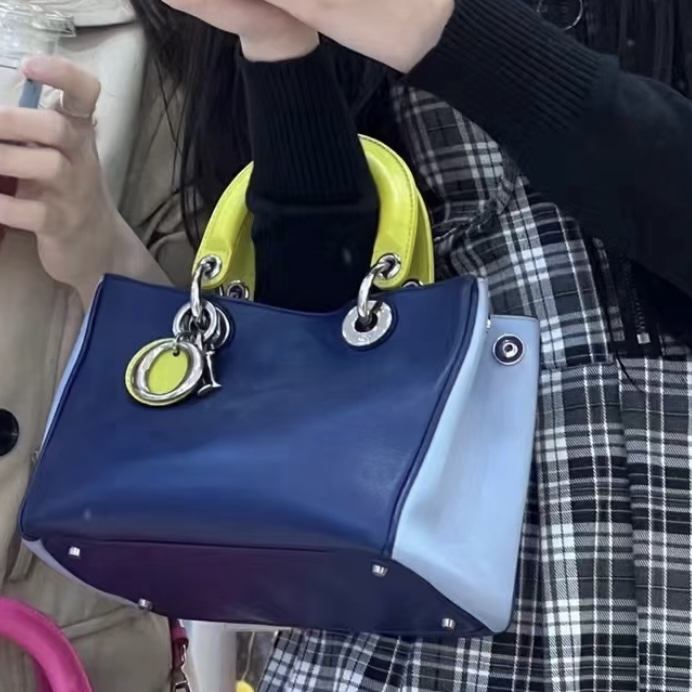 95新 DIOR/迪奥 御古屋/58203/Dior 小号拼色vip斜挎