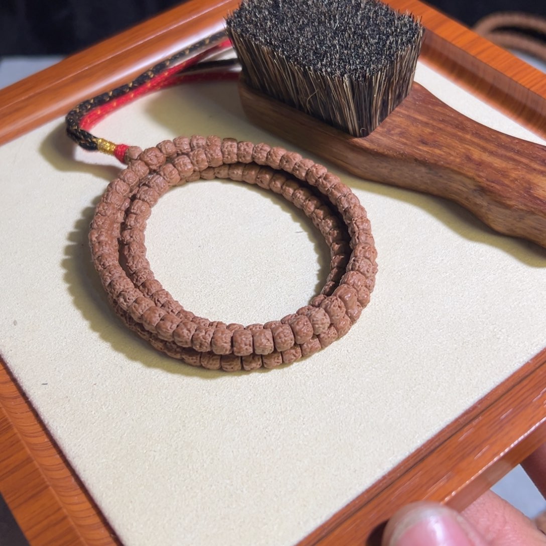 ?五爪金龙龙切佛手小金刚