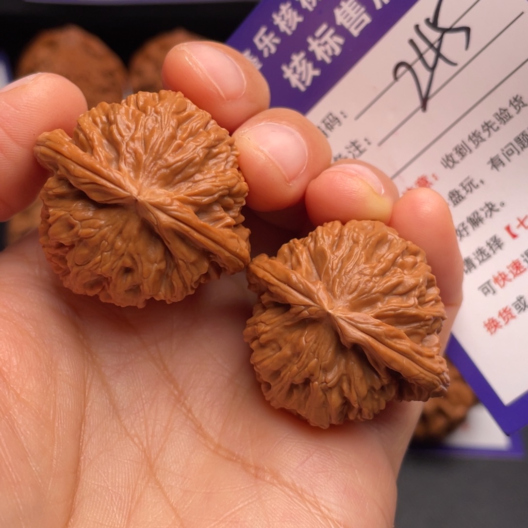 文玩核桃把件白狮子36尺