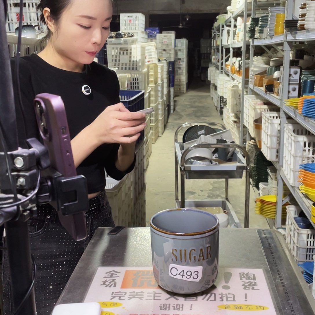 瓷片493         2个带盖