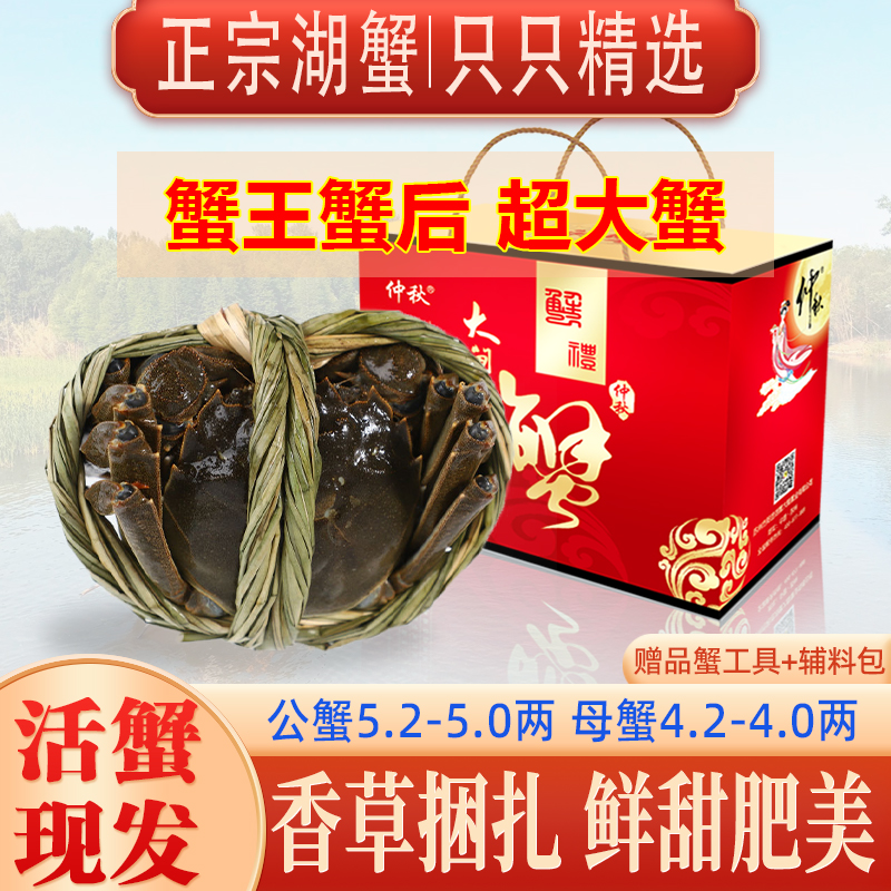 【活蟹】公蟹5.2-5.0两母蟹4.2-4.0两6只装精品大闸蟹鲜活螃蟹现发