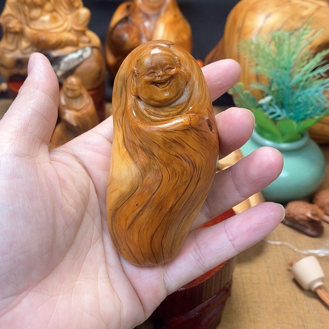 柏木（崖柏）一物一图