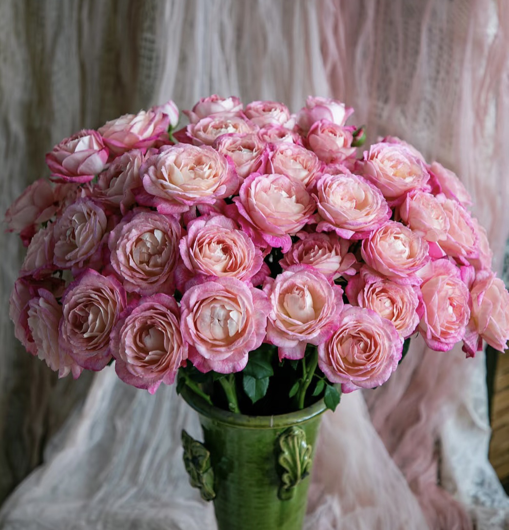 【10枝多头美人醉】花农直发，全场任意两单顺丰包邮，一单需补邮费！