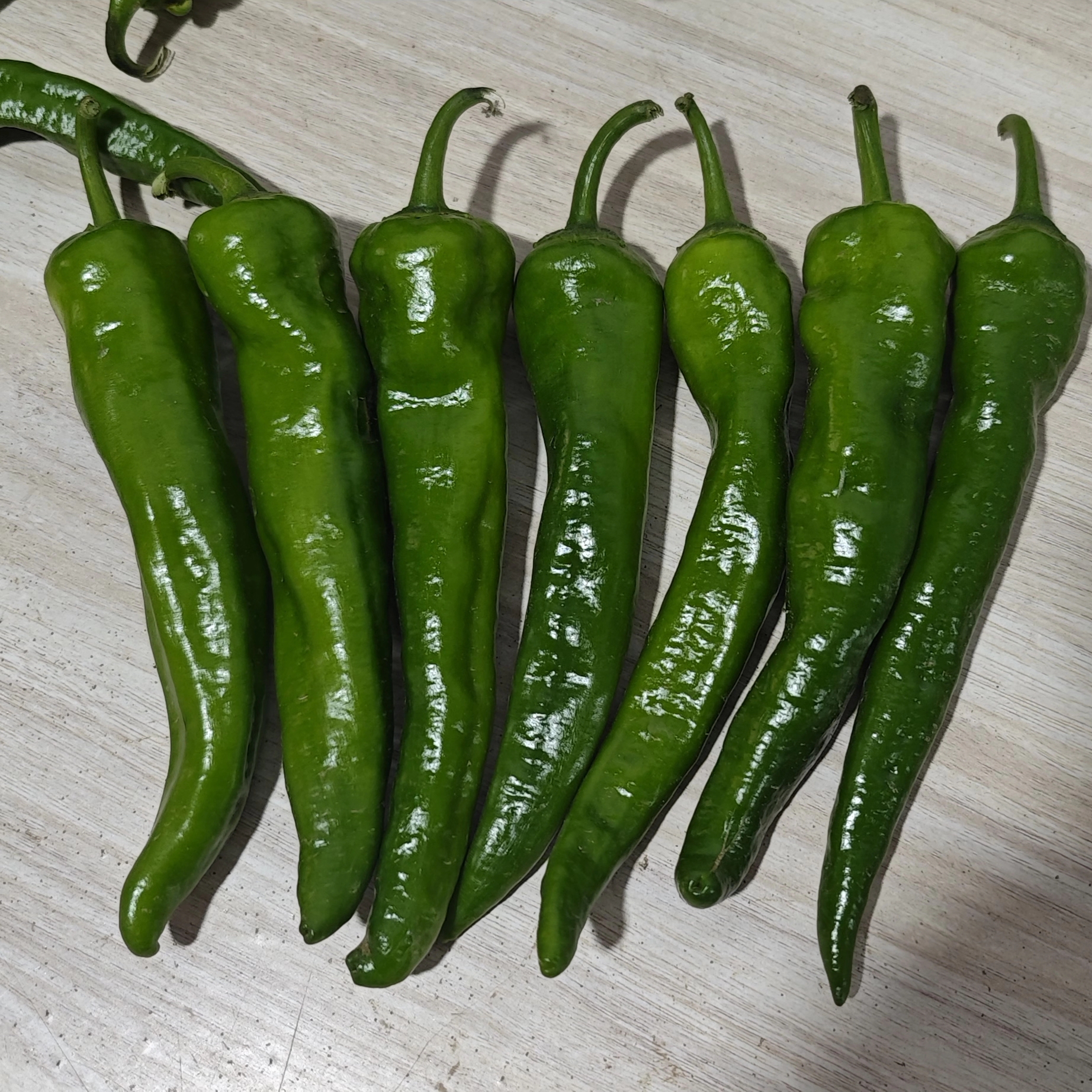 小园辣妹子，一箱三斤，讷河产地直发