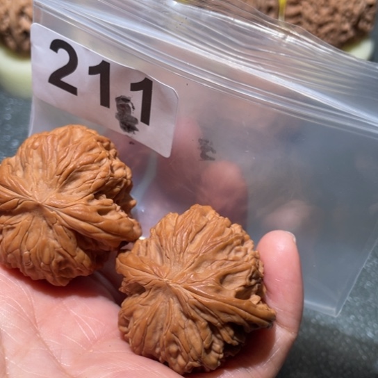 文玩核桃把件磨盘38