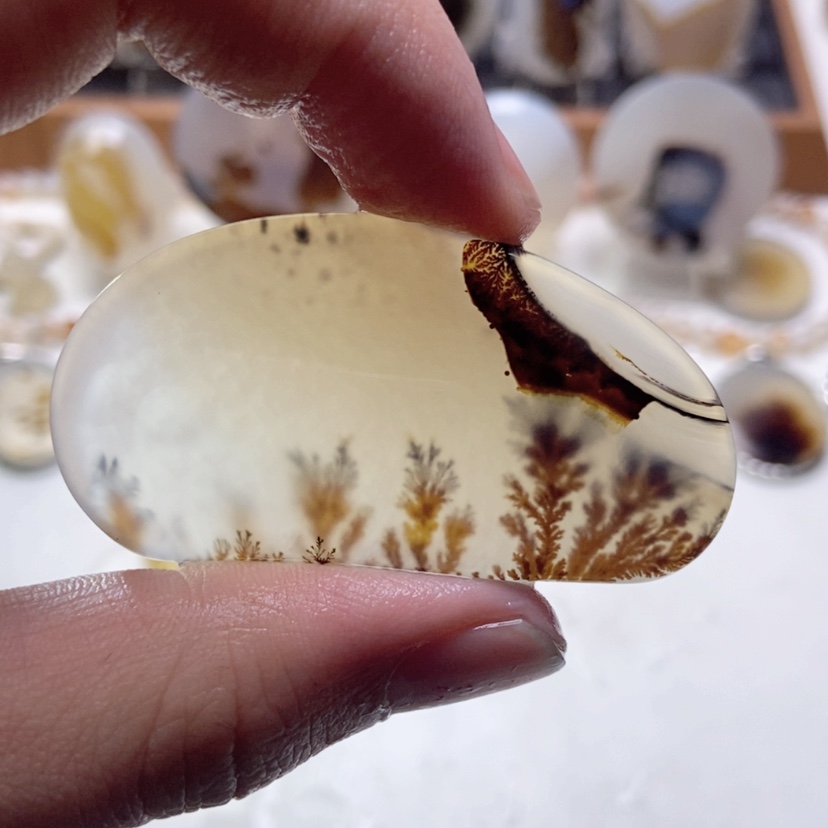 【闪购商品】玛瑙/玉髓颈饰未镶嵌