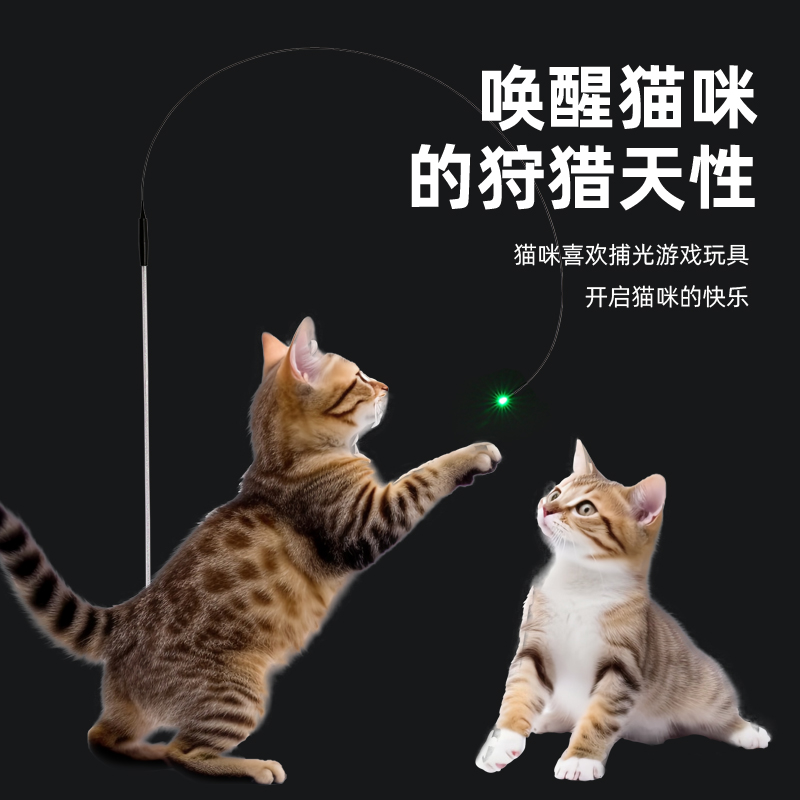 新款激光逗猫棒猫咪激光笔红外线光纤逗猫棒自嗨互动幼小猫玩具 