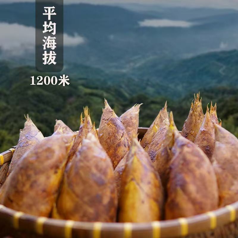 新鲜冬笋蜀南竹海高山黄泥冬笋现挖现发农家楠竹手剥笋