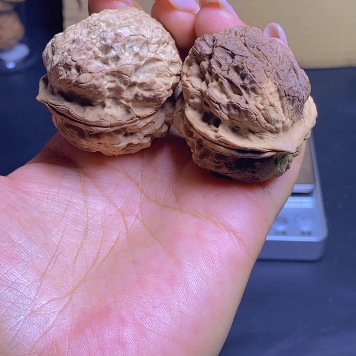 把件文玩核桃8-42mm