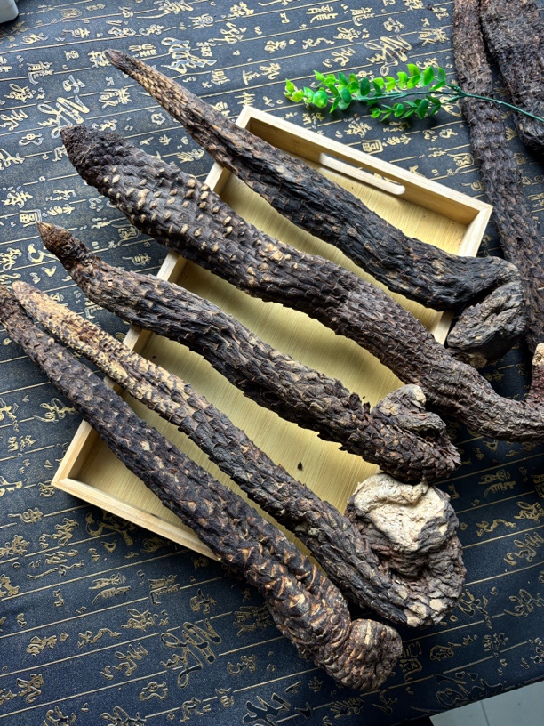 大货 肉苁蓉 一物一拍 干货 可以现场选货称重