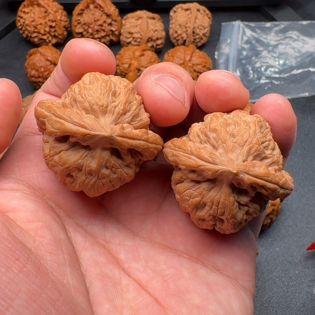 文玩核桃把件金公子全品