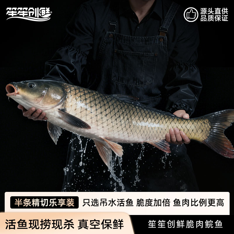 广东中山珍品脆肉鲩鱼【半条】选择重量切法现买现称现杀真空包顺丰