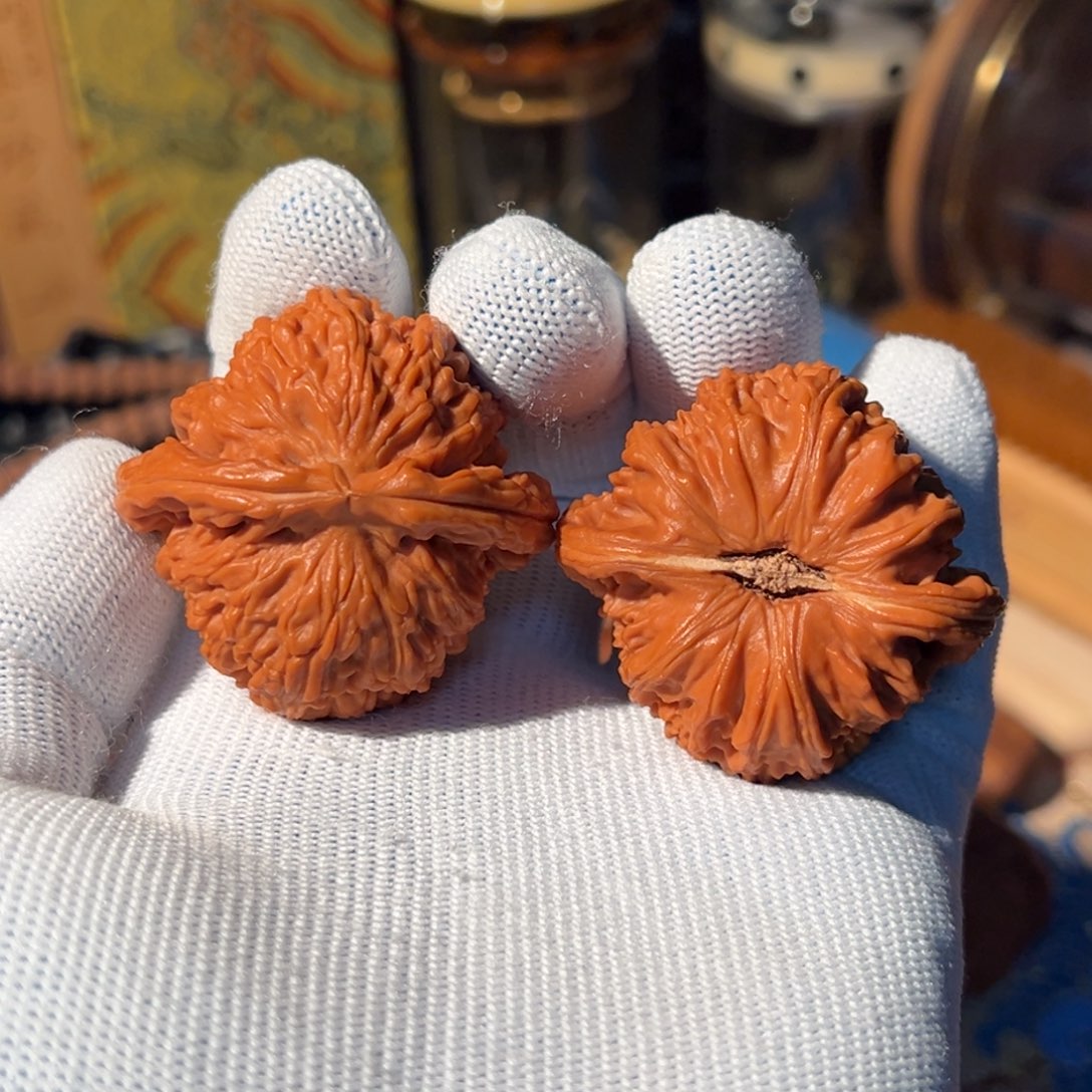 文玩核桃把件全品卡姿兰白狮子43