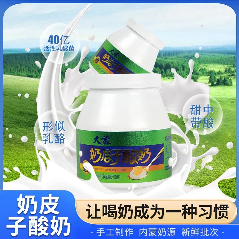 内蒙古特产桶装奶皮子酸奶草原风味口感丝滑的经典老酸奶