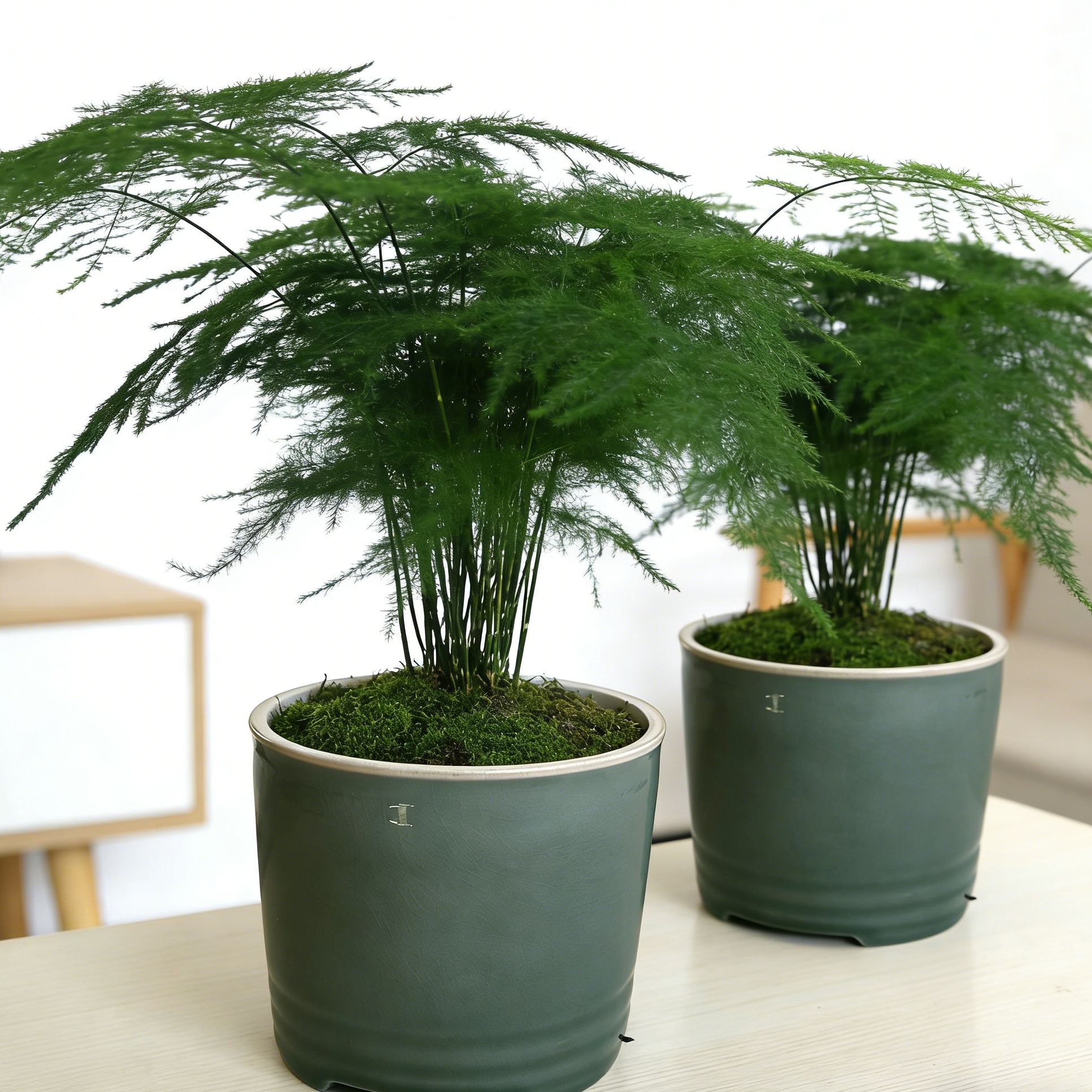 多肉绿植陶瓷花盆大口径透气多肉花盆小口径中国风桌面绿植花器