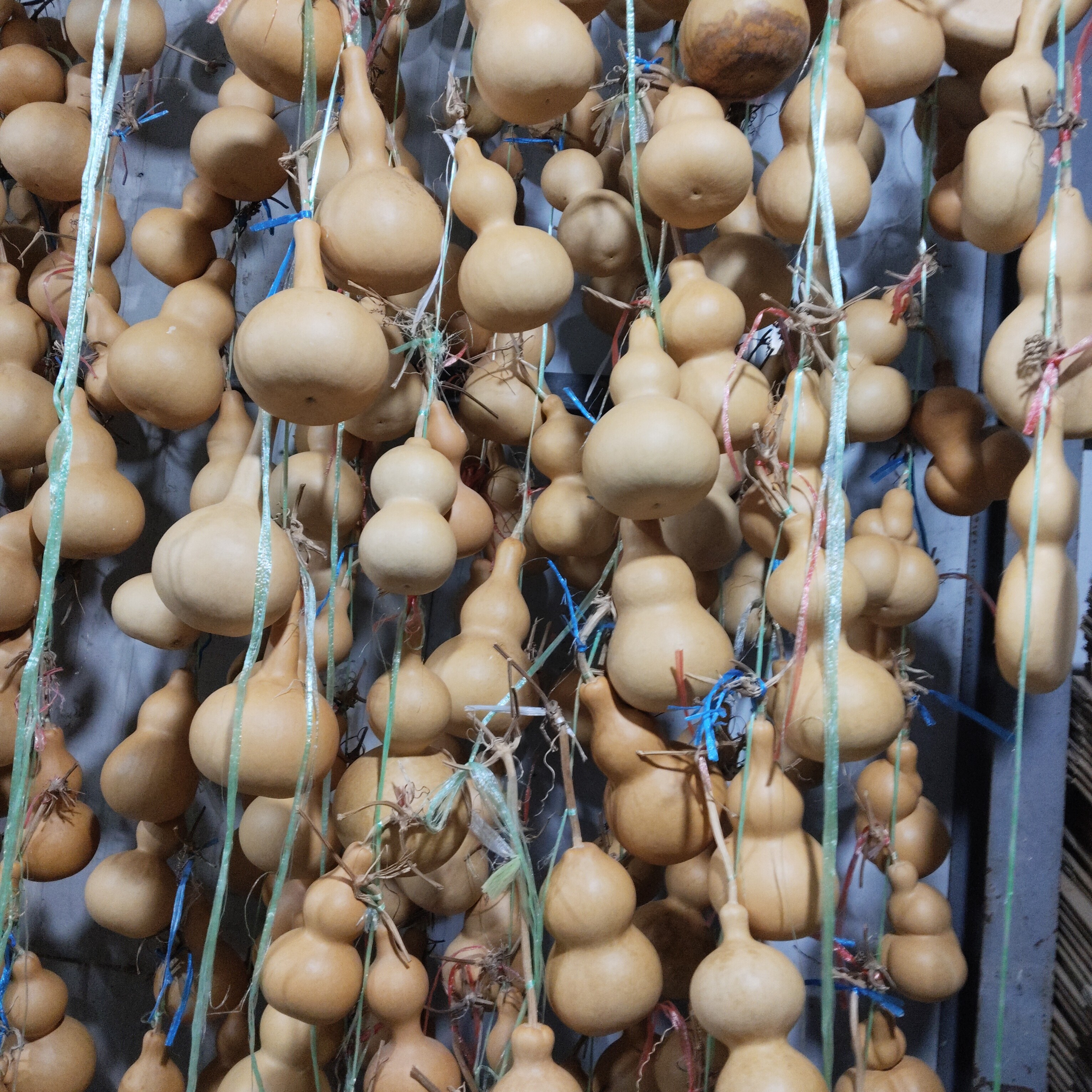 直播间5到150元 葫芦付款专用链接。禁止私拍。